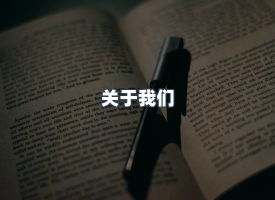 关于我们